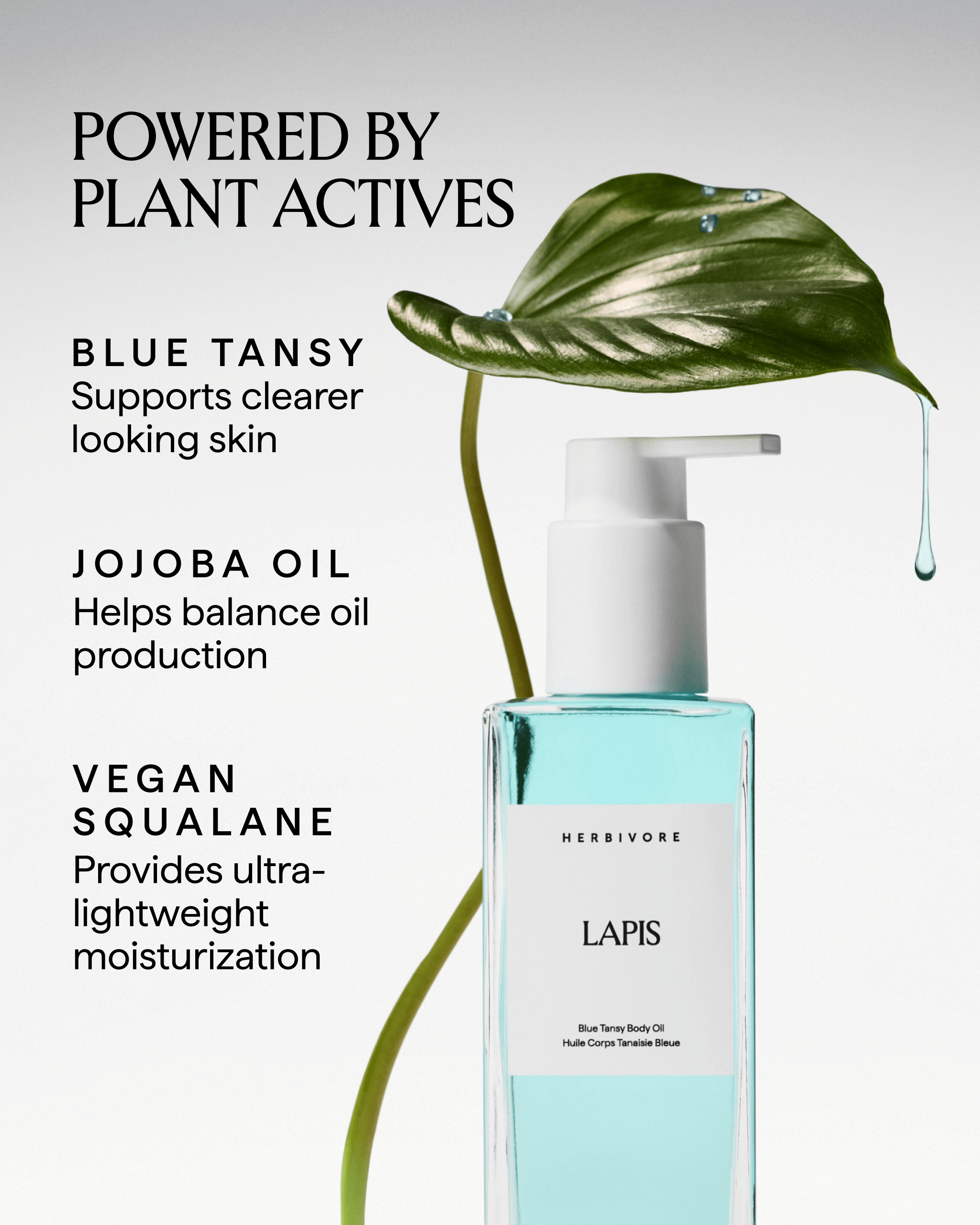 Lapis_BodyOil_4x5_Carousel_3.png